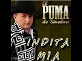 EL PUMA DE SINALOA  INDITA MIA