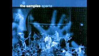 06 Stone Tears Live The Samples
