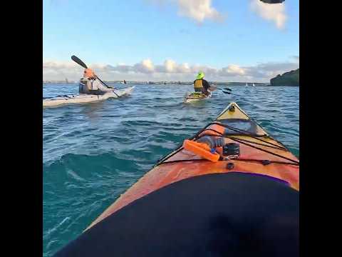 Weekly evening paddle #seakayaking #kayakers #kayaklife #newzealand