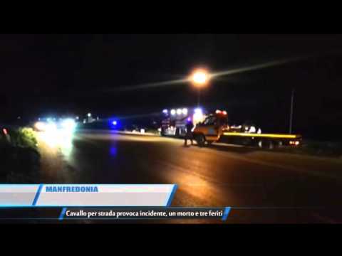 20 02 2016 TELEREGIONE MANFREDONIA CAVALLO PER STRADA PROVOCA INCIDENTE UN MORTO E TRE FERITI