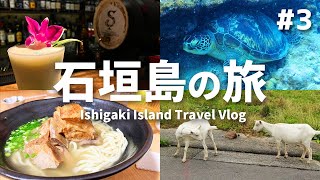 【Vlog】石垣島を4泊5日の旅で大満喫してきました【3・4日目】【小浜島・ダイビング・ウミガメ・大崎ビーチ】