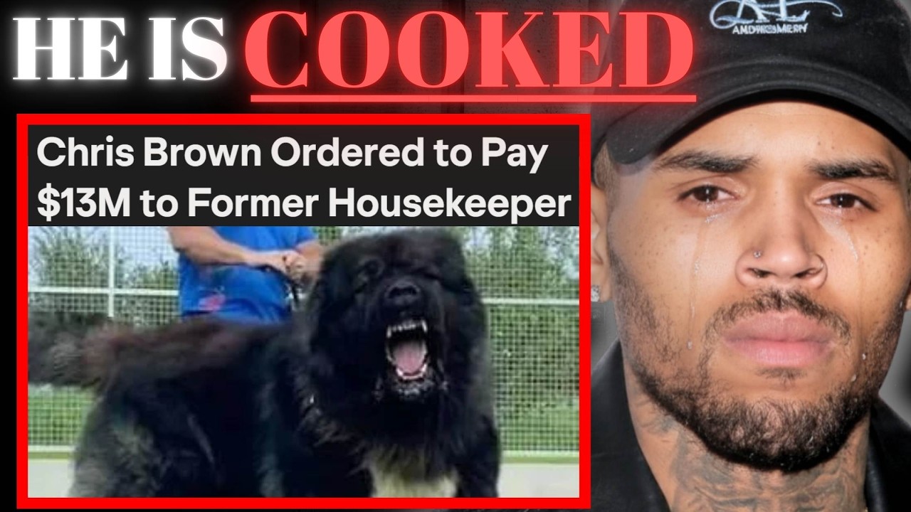 Scumbag Chris Brown Just Lost $13m [lol]