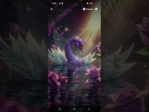 Swan Wallpaper Gallery