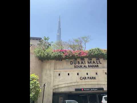 Souk Al Bahar and out😆 off Bahar 😎#travel #burjkhalifa 🩶