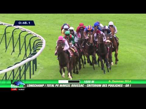 2014 Total Prix Marcel Boussac - Criterium des Pouliches G1 - FOUND