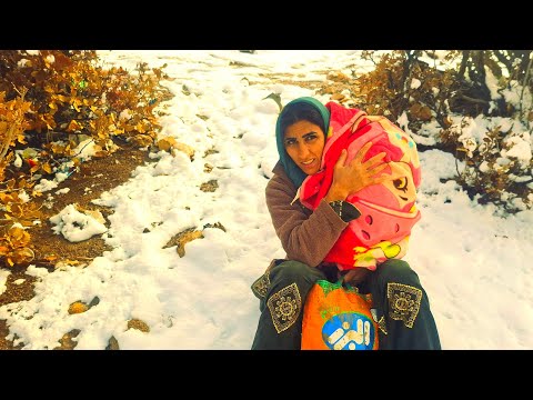 🏠 Narges’s Simple Wish: Just a Safe Roof