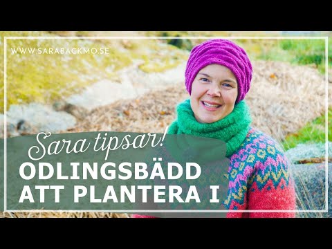 Gör en ny odlingsbädd att plantera i