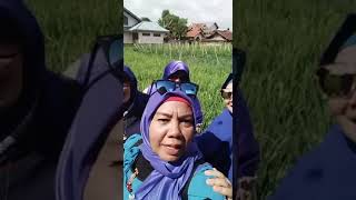 Download lagu KAMPUANG NAN JAUAH DI MATO mp3 Download lagu KAMPUANG NAN JAUAH DI MATO mp3