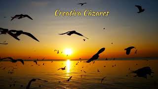 Vicente Fernández #Marioneta. (Un Hombre Con Suerte)