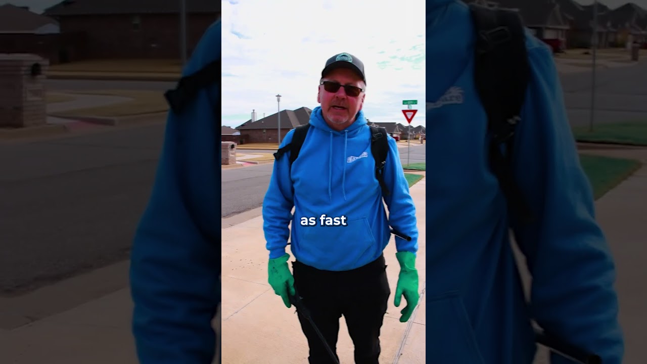 How to Get Rid of Weeds in Winter?