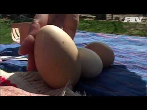 csirke tojás erekcióhoz gyűrűk a herezacskón és a péniszen
