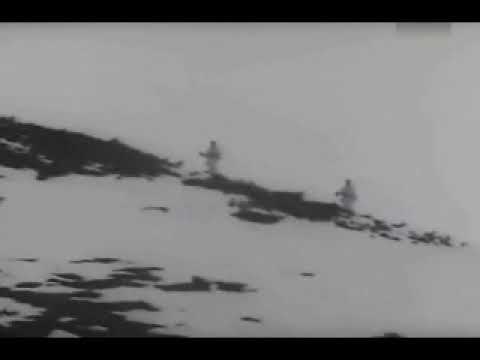 Die Karpatendeutschen und Verfluchten Banditen