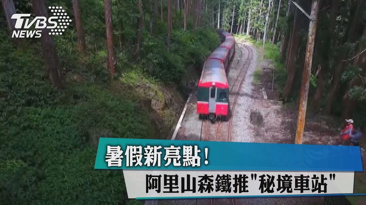 暑假新亮點! 阿里山森鐵推「秘境車站」
