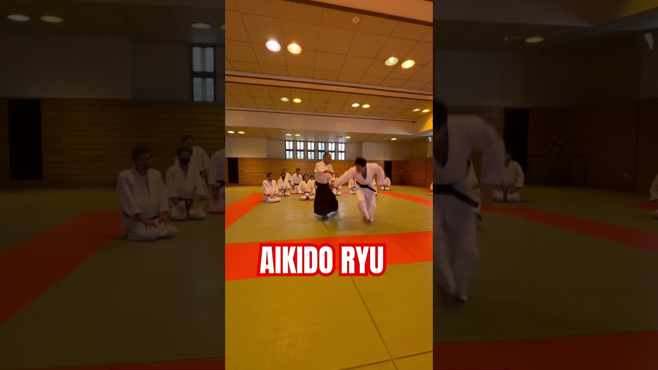 #shorts #aikido Ando Tsuneo - Sankajo #martialarts