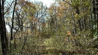 preview picture of video 'Buckeye Trail in the Shawnee Wilderness Area'