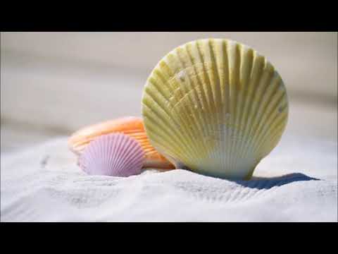 Wochenorakel 17  bis 23 Juli 2017