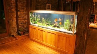 How to Maintain a Big Fish Tank | Aquarium Care