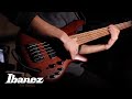 Ibanez SR500 Series Electric Bass