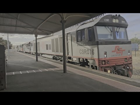 6MP9 SCT down "Dark Ghost #1" (4x locos), Laverton to Forrestfield, 0800, 15/2/25, Stawell VIC