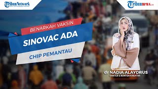 Vaksin Sinovac Mengandung Chip Pemantau, Ini Faktanya