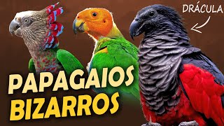 Miniatura do vídeo