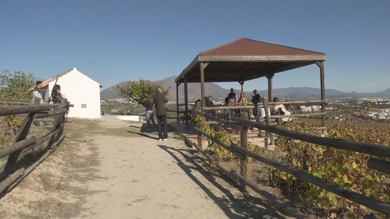 Nilva Enoturismo propone una experiencia guiada