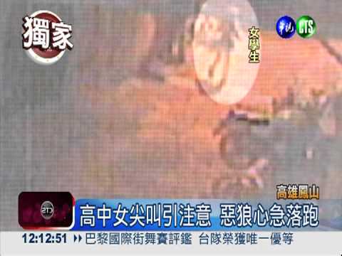 鳳山車站熊抱狼 女學生尖叫嚇壞