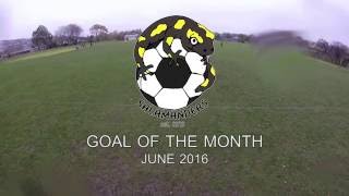 Goal of the Month - June