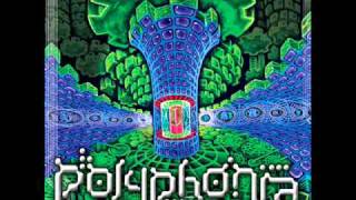 Polyphonia - Quantum Mechanics