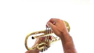 Trumpet Lesson 1: Holding the Trumpet
