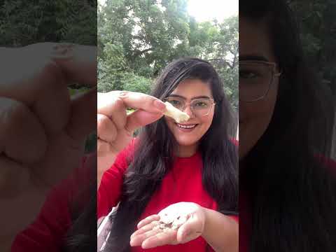 Cadbury Bytes Dupe Nova Nova | Worth It?