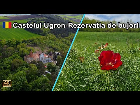Zau de Campie hides two UNIQUE objectives in Europe! Ugron Castle and the Steppe Peony Reserve
