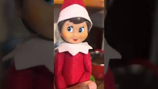 Day 4- Where is Elf on the shelf?