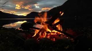Video 3