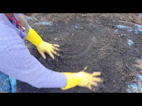 Rammed Earth Material Mixing : Lime + Soil (Sand + Clay +Silt+ Black Colour Oxide) : Video 3