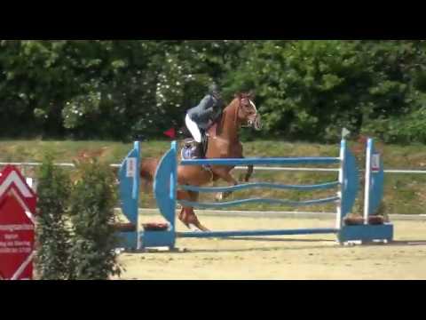 19.05.2019 Ladenburg: Springen Kl. S3* - 1. Anna-Elisa Schäfer/Midnight Blue