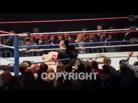 Triple H & Ref beat down Fan that enters ring and hit Steve Austin