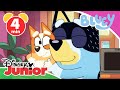 Bluey Die Besten Momente Mit Bingo Disney Junior