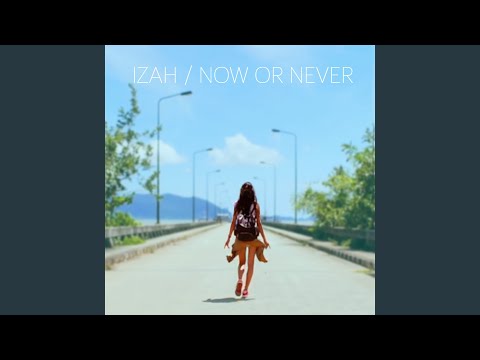 Now or Never (Flavio Rodriguez Remix)