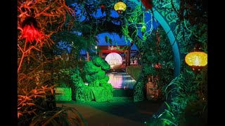 Amazonia Party   B oli Cannes 2021