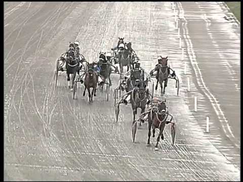 Trotto 05/03/2015 - 2° corsa