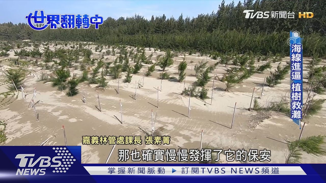 寸土不讓！　搶救海岸線「養灘」工法大解密