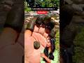 Dip Mehandi Shorts Goesviral Ytshots Mehndi Trending Wedding Ashortaday