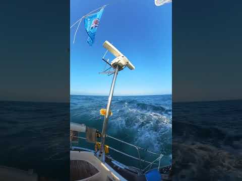 Shetland race ombord i Anne Mari (Swan 46)