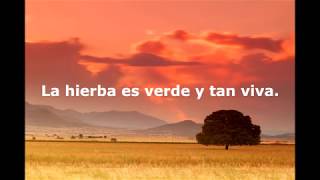 Diviners - Savannah feat. Philly K  letra en español ( Lirycs)