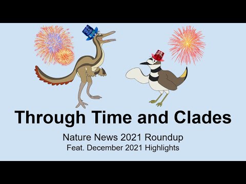 Nature News: 2021 Roundup (Feat. Dec. 2021 Highlights)