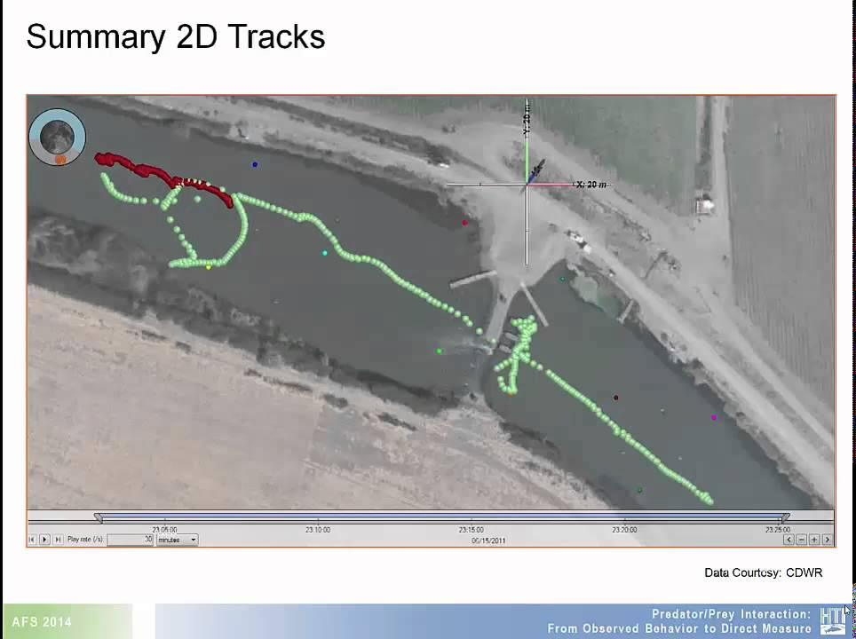 Predator/Prey Interaction