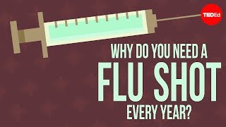 Addison Anderson - Why Do You Need To Get A Flu Shot Every Year?