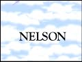 Tommy Nelson Presents Logo
