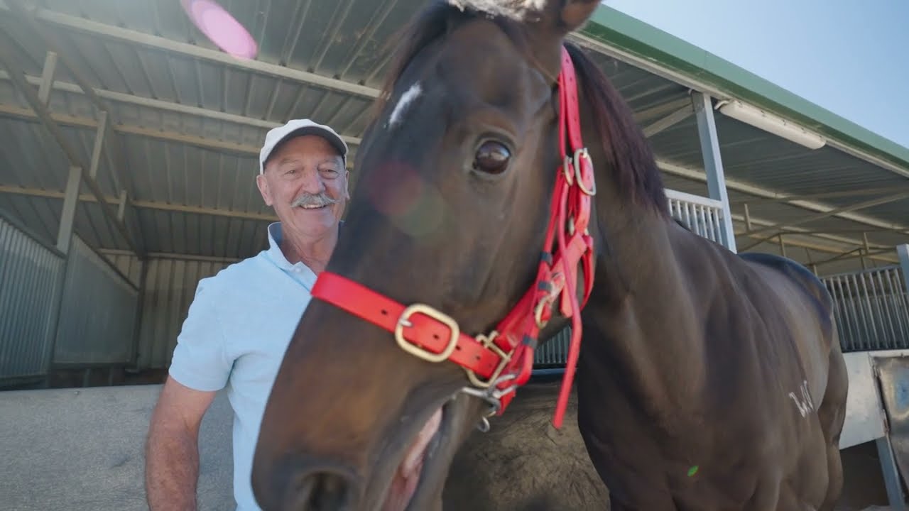 YouTube video thumbnail